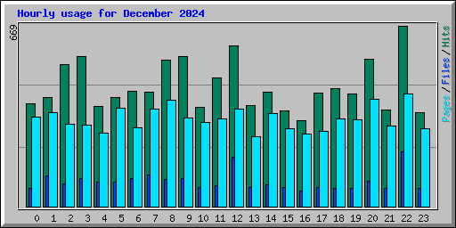 Hourly usage for December 2024